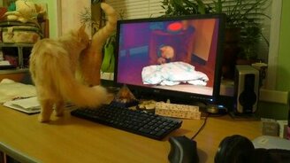 Бася и Буся смотрят на себя - смотреть видео (3:13)