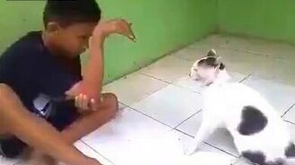 Кошка против руки-змеи - смотреть видео (0:39)