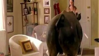 Может, стоит завести собаку - смотреть видео (0:31)