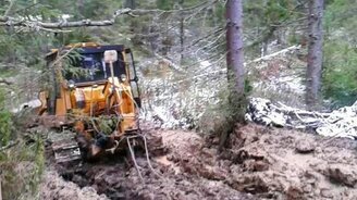 Вызволили бульдозер, застрявший в лесу - смотреть видео (3:22)