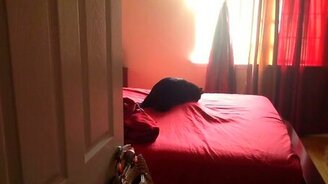 Коты играли, а их застали - смотреть видео (0:14)