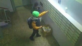 Говорят, люди - свиньи... - смотреть видео (5:00)