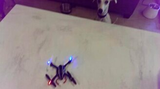 Провальное испытание коптера - смотреть видео (0:18)