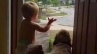 Малыш и пёс встречают папу и хозяина - смотреть видео (0:37)