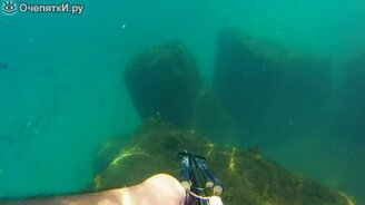 Неубиваемая рыба - смотреть видео (0:18)