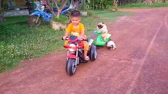 Старший не должен уступать младшему! - смотреть видео (0:36)