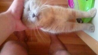 Порция ласки - каждое утро - смотреть видео (0:25)