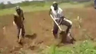 Энтузиасты пашут землю - смотреть видео (1:27)