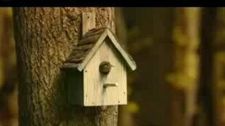 Мегаржачный скворечник - смотреть видео (0:33)