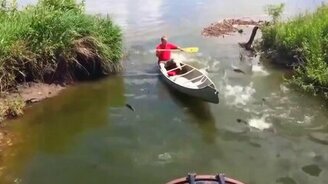 Бухта-мечта рыболова - смотреть видео (0:53)