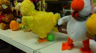 Неправильная курочка - смотреть видео (0:14)