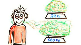 Опасные для человека порции - смотреть видео (3:30)