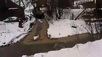 Мастер управления лесовозом - смотреть видео (0:59)