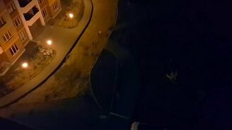 Собаки против лазерного зайчика - смотреть видео (1:15)