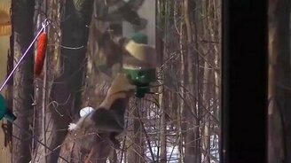 Готовят белку в космос? - смотреть видео (0:27)