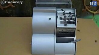 Современная ловушка для мух - смотреть видео (0:32)