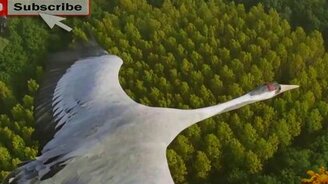 С высоты птичьего полёта - смотреть видео (5:50)