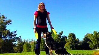 Собаки, которые вас покорят! - смотреть видео (6:35)