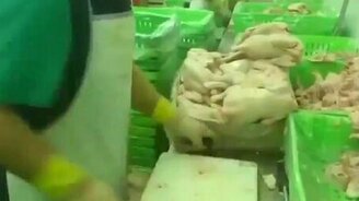 Мастер разделки куриных тушек - смотреть видео (3:31)