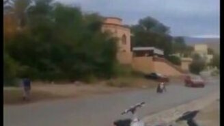 Скутерист-виртуоз - смотреть видео (0:23)