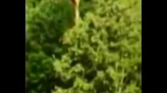 Вертолётная обрезка деревьев - смотреть видео (1:32)