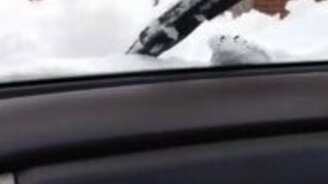 Забавная пародия в дуэте с дворниками - смотреть видео (0:25)