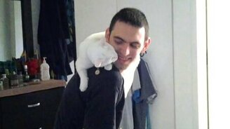 Белоснежный ласковый котяра - смотреть видео (1:30)