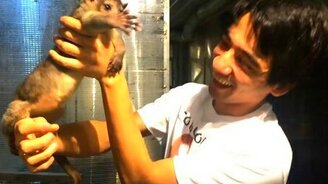 Вот такой вот кинкажу - смотреть видео (2:13)