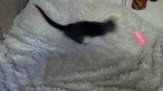 Лазерное головокружение - смотреть видео (0:19)