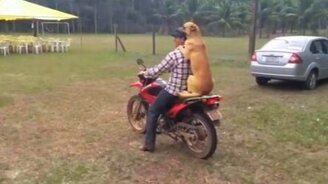 Хозяин, я готов, поехали! - смотреть видео (0:34)