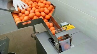 Массовое отделение белка от желтка - смотреть видео (2:47)