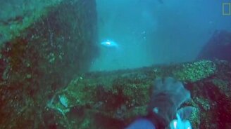 Грабёж подводного охотника - смотреть видео (1:00)