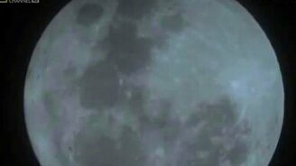 Перекличка мышей - смотреть видео (0:18)