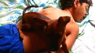 Не буди ребёнка, пусть поспит! - смотреть видео (1:47)