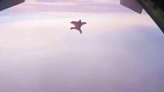 Залетели на борт самолёта - смотреть видео (0:15)