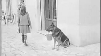 Честно заработал на кусок мяса - смотреть видео (0:59)