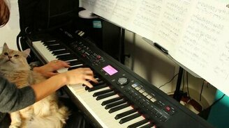 Кошечка и пианистка - смотреть видео (5:20)