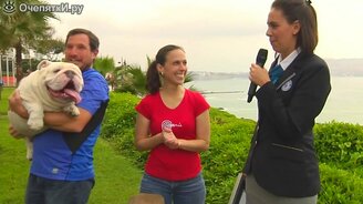 Бульдог-скейтбордист - смотреть видео (1:28)