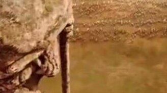 Самая неожиданная задумка Болливуда - смотреть видео (6:51)