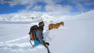 Ребята спасли лошадь из сугроба - смотреть видео (1:56)