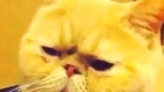 Приуныл под песню - смотреть видео (0:15)