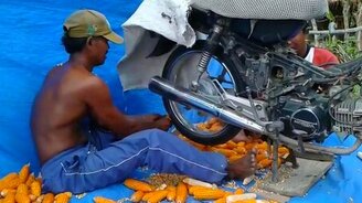 Отделяем зёрна от початков - смотреть видео (1:12)