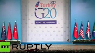 Кошки вездесущи! - смотреть видео (0:38)