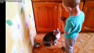Мальчик кормит кота - смотреть видео (0:50)