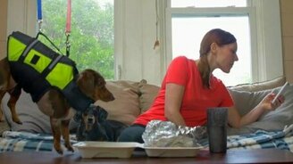 Миссия - украсть еду - смотреть видео (0:13)