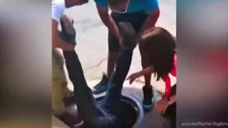 Парень спас утёнка из люка - смотреть видео (0:42)