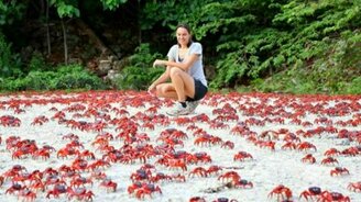 Невероятные явления природы - смотреть видео (2:01)