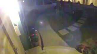 Котяра с наклонностями ниндзя - смотреть видео (0:21)