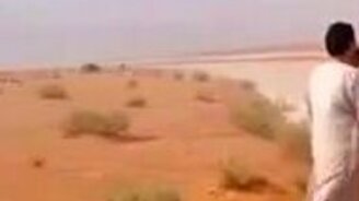 Ледяная река в пустыне - смотреть видео (1:28)