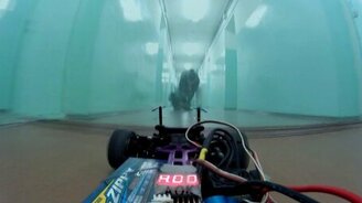 Гоняем кошек по общежитию - смотреть видео (1:06)